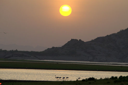 Sunset safari Jawai Manohar Vilas